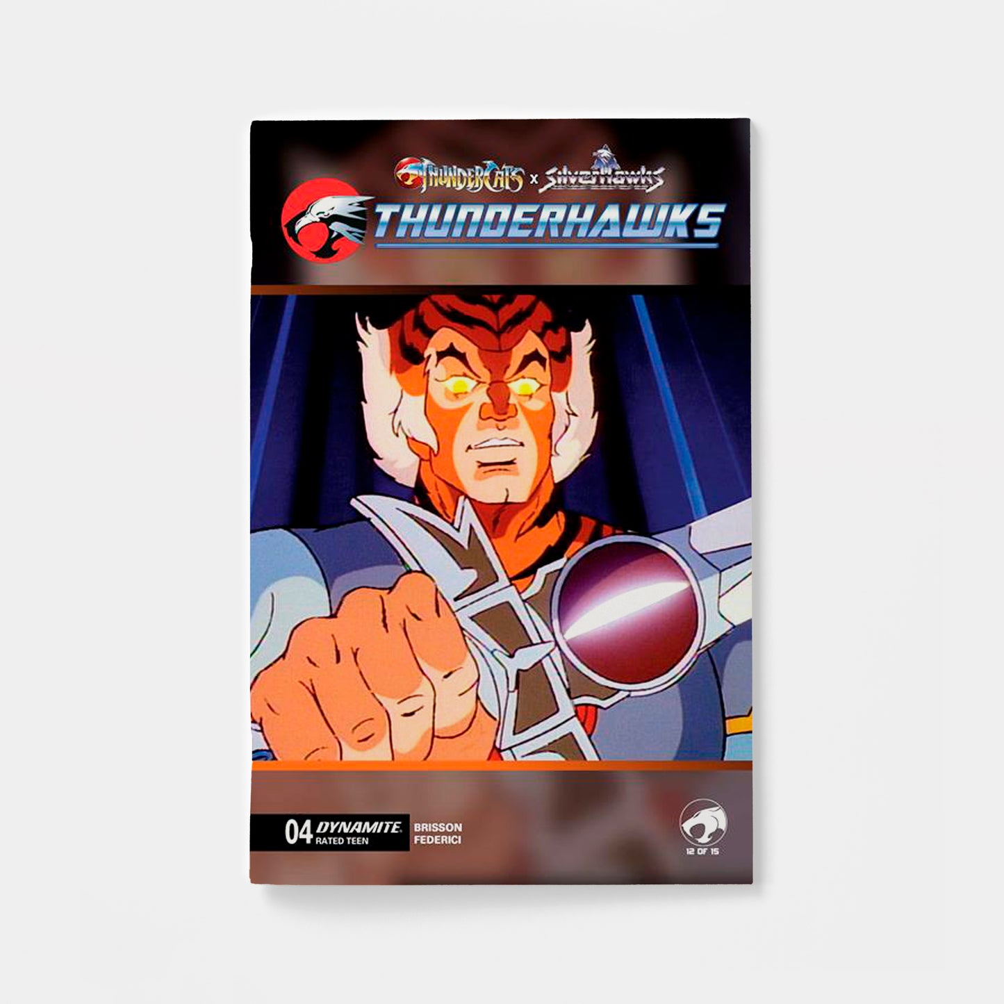 THUNDERCATS X SILVERHAWKS THUNDERHAWKS #4 CVR E ANIMATION ART VAR