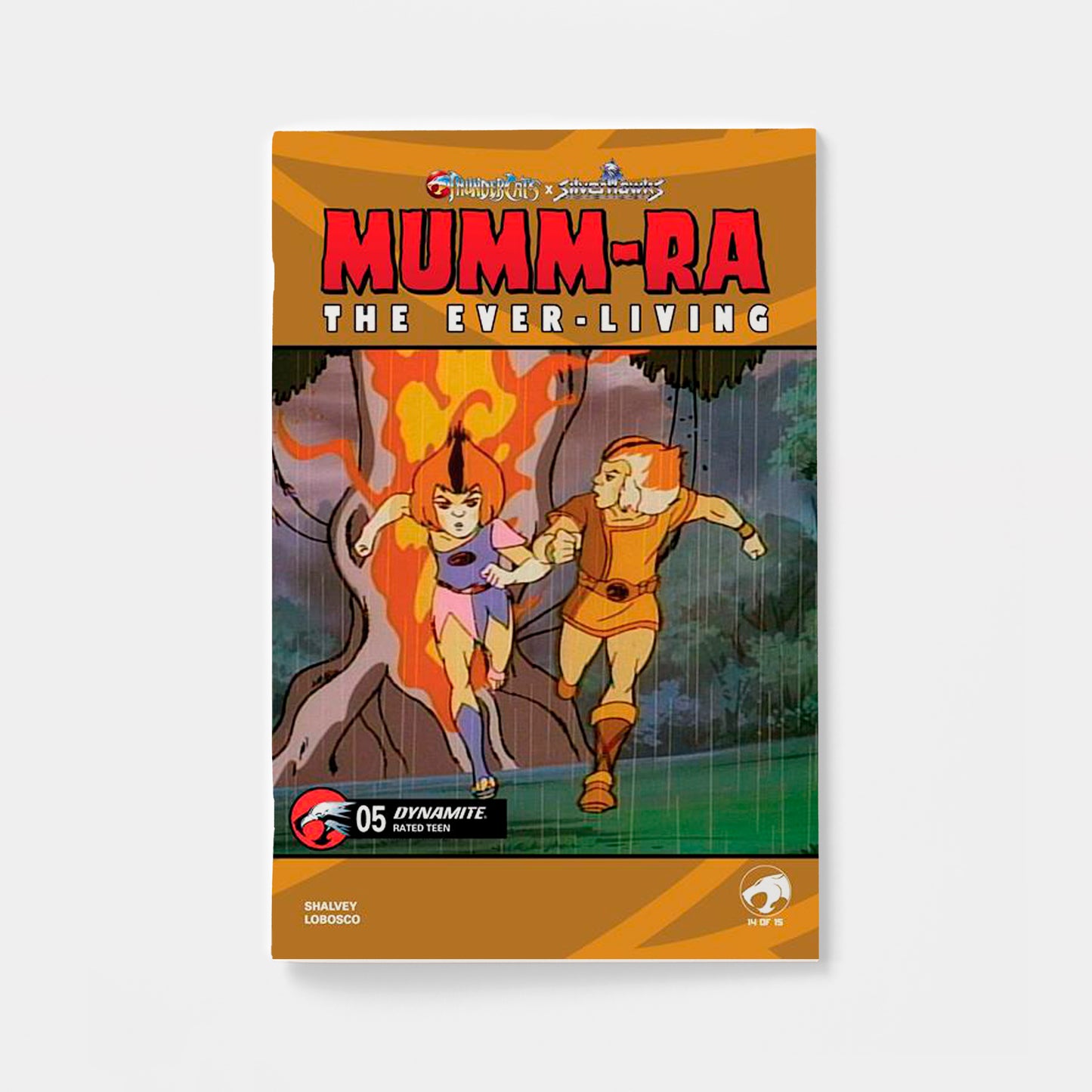 MUMM RA THE EVER LIVING #5 CVR E ANIMATION ART VAR