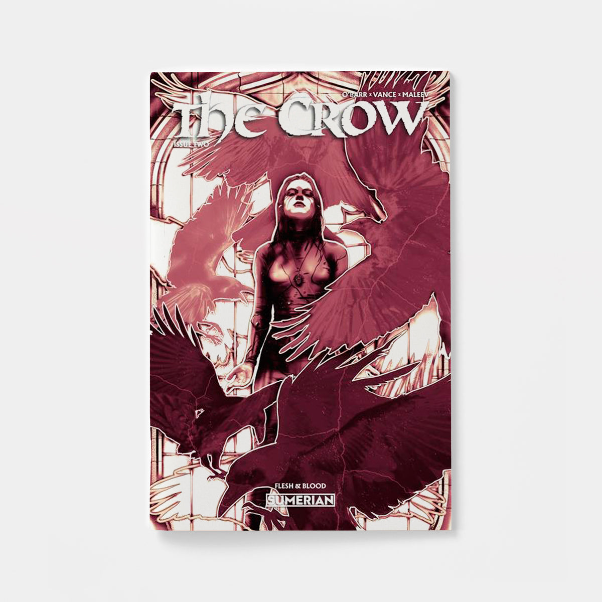 CROW FLESH AND BLOOD #2 CVR A LUCAS PEVERILL (MR) | presale | 2026-11-11
