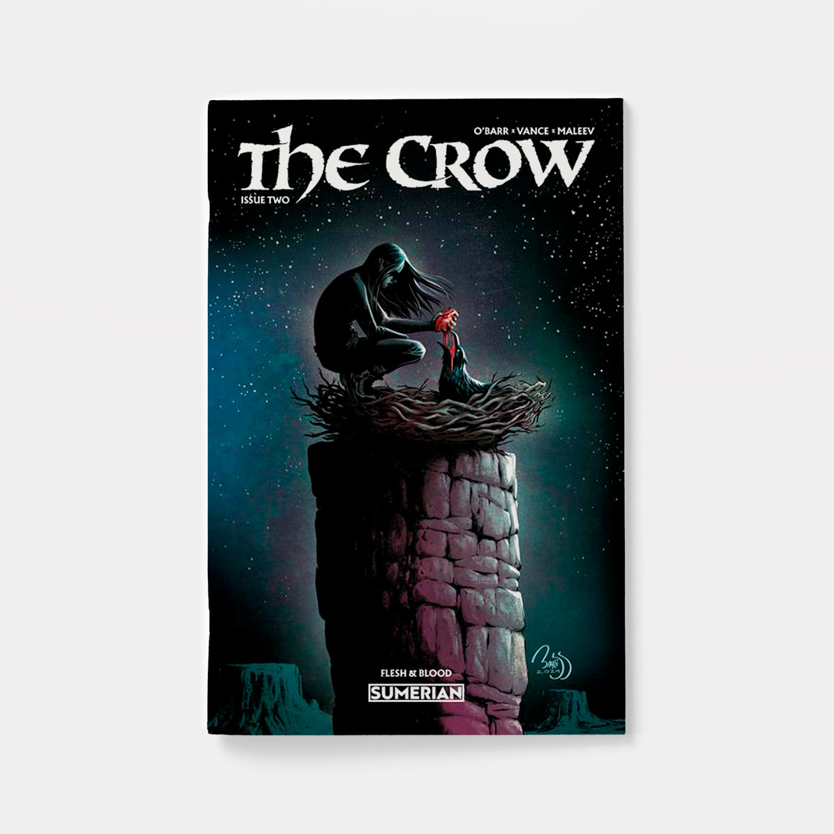 CROW FLESH AND BLOOD #2 CVR B DANIEL BAYLISS VAR (MR) | presale | 2026-11-11