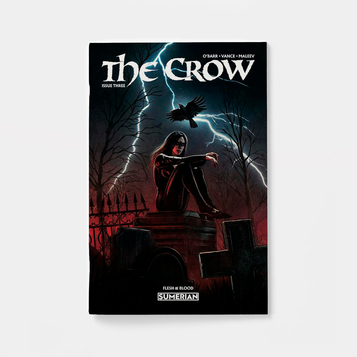 CROW FLESH AND BLOOD #3 CVR A EDUARDO SCHAAL (MR) | presale | 2026-12-09