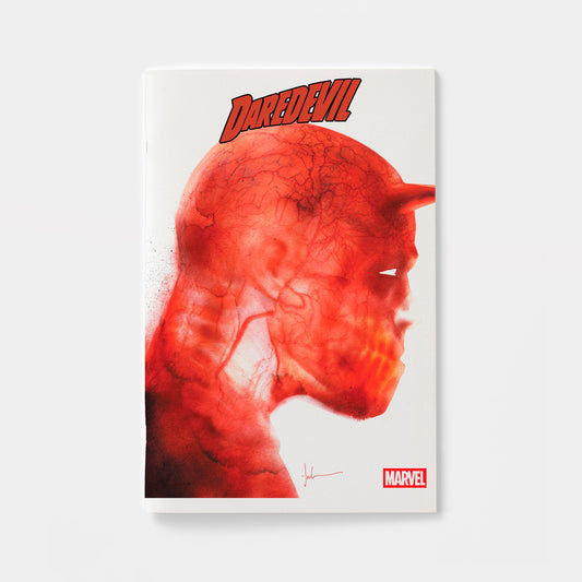 DAREDEVIL #6 JOCK VARIANT